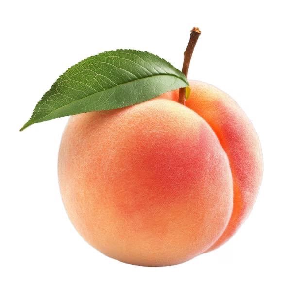 🍑🍑🍑🍑's profile picture
