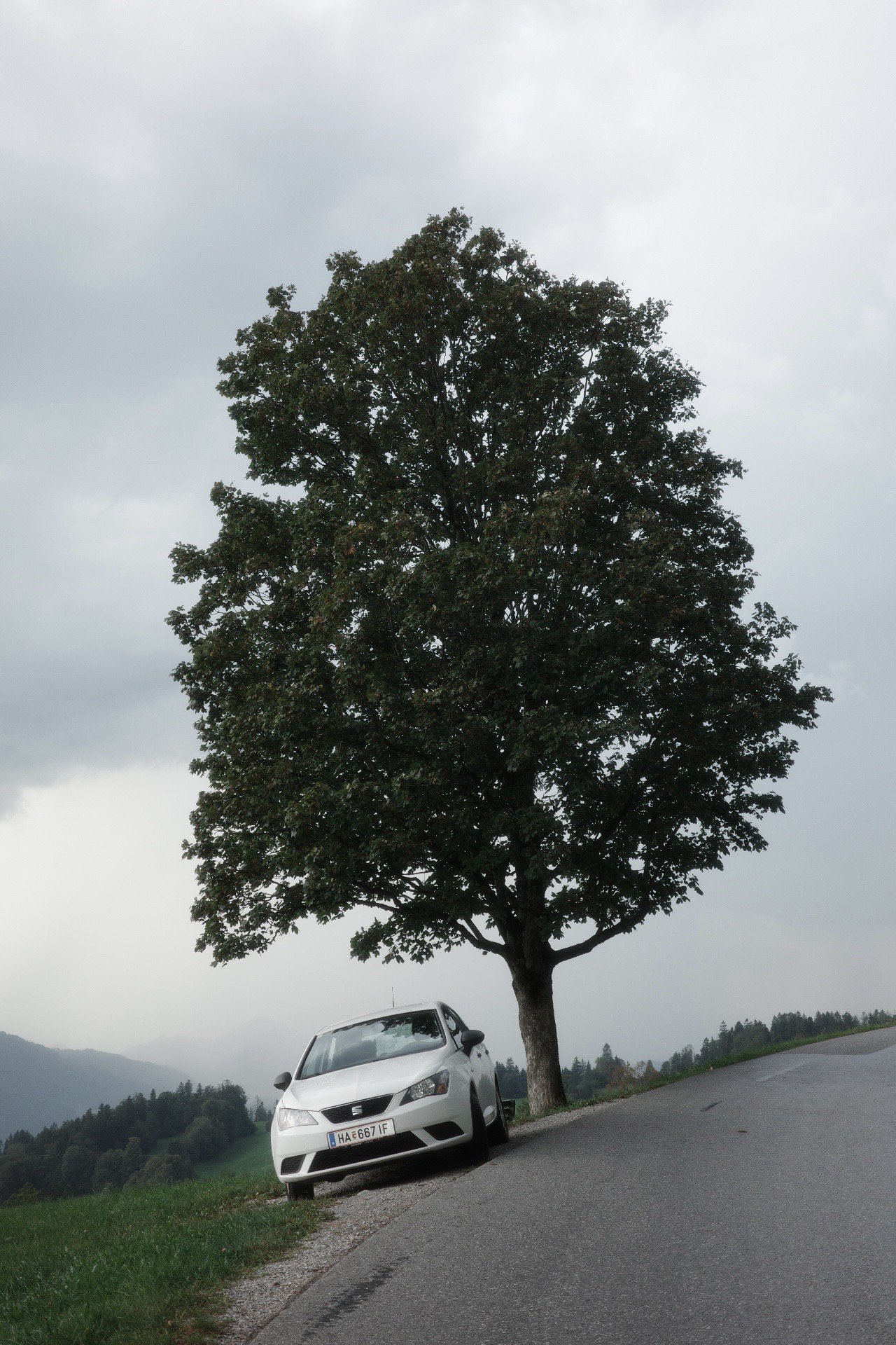 쌤들에게물어봐