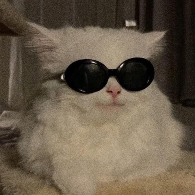 o3llzi's profile picture