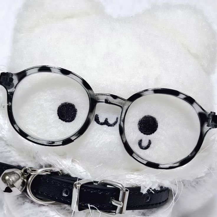 Lucia's profile picture