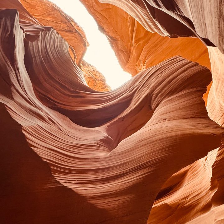 hahabswX's profile picture